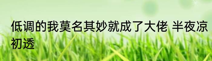 低调的我莫名其妙就成了大佬 半夜凉初透