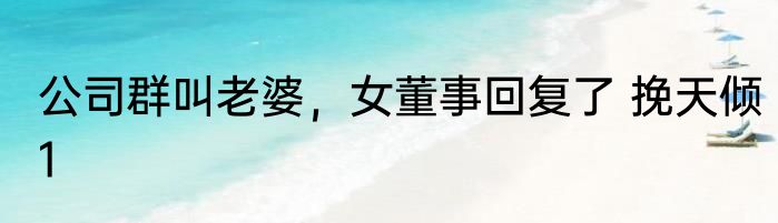 公司群叫老婆，女董事回复了 挽天倾1