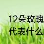 12朵玫瑰代表什么意思（红玫瑰12朵代表什么意思）