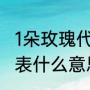 1朵玫瑰代表什么意思（一朵玫瑰花代表什么意思）