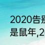 2020告别鼠年迎牛年致辞（2020年是鼠年,2021年是什么年）
