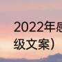 2022年感慨文案（2022年终总结高级文案）