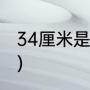 34厘米是几码的鞋（34的脚长多少寸）