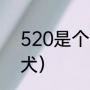 520是个什么东东（520古代叫什么犬）