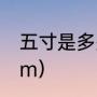 五寸是多少厘米（5寸的尺寸是多少cm）