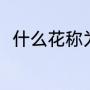 什么花称为五月花（五月花是什么）