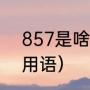 857是啥意思呀（857什么意思网络用语）