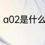 a02是什么银（a02驾照能开什么车）
