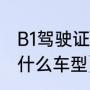 B1驾驶证可以开什么车（B1驾照能开什么车型）