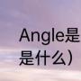 Angle是什么意思（Angle中文意思是什么）