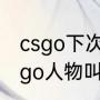 csgo下次大行动是多久（红苍蝇头csgo人物叫什么）