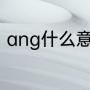 ang什么意思（ang中文是什么意思）