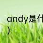 andy是什么意思（ANDY是什么意思）