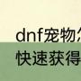 dnf宠物怎么快速获得（dnf宠物怎么快速获得）