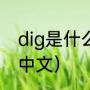 dig是什么中文意思（dig是什么意思中文）