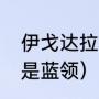 伊戈达拉拿过dpoy吗（为什么dpoy是蓝领）