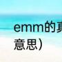 emm的真实含义（S,M、E档是什么意思）