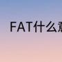 FAT什么意思（FAT是什么意思呀）