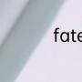 fate系列到底讲的什么