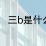 三b是什么牌子（布加迪是租的吗）
