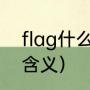 flag什么意思及同义词（flag的中文含义）