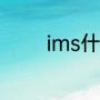 ims什么意思（IMS是什么）