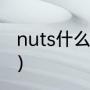 nuts什么意思（nuts女装是什么牌子）