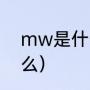 mw是什么意思网络用语（MW是什么）