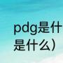 pdg是什么意思网络用语（pdg文件是什么）