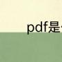 pdf是什么（pdf版什么意思）