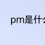 pm是什么意思（PM是什么意思）