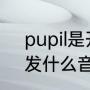 pupil是开音节（pupil中的i发音吗，发什么音）