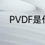 PVDF是什么意思（PVDF是什么）