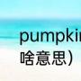 pumpkin是什么意思（pumpkin是啥意思）