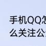 手机QQ怎么关注公众号（手机QQ怎么关注公众号）