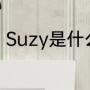 Suzy是什么意思（Suzy是什么意思）