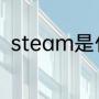 steam是什么意思（steam指的是）