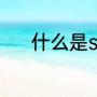 什么是soul（soul的中文解释）