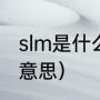 slm是什么意思网络用语（slm是什么意思）