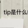 tip是什么的简称（tip和top的区别）