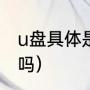 u盘具体是什么意思（u盘是电子设备吗）