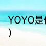 YOYO是什么意思（yoyo原名叫什么）