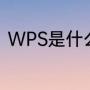 WPS是什么意思（WPS是什么意思）