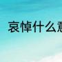 哀悼什么意思（哀悼是意思是什么）