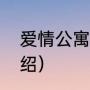 爱情公寓五剧情（爱情公寓五剧情介绍）