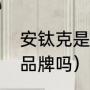 安钛克是杂牌吗（安钛克电源是一线品牌吗）