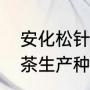 安化松针具有哪些特征（湖北名优绿茶生产种类）