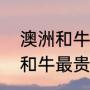 澳洲和牛与安格斯牛排的区别（澳洲和牛最贵的是哪一块）