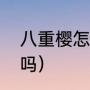 八重樱怎么牺牲的（八重樱值得培养吗）