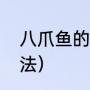 八爪鱼的清洗方法（八爪鱼的清洗方法）